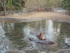 -清迈夜间动物园