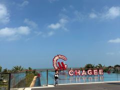 -海口万豪·大堂吧·望海吧.日落海景·下午茶·奶茶·咖啡·轻食·蛋糕·鸡尾酒·清吧