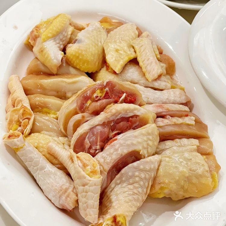 这家生蚝鸡煲值得N刷 
