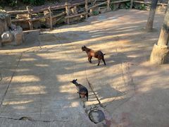 -长鹿旅游休博园