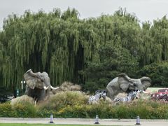 -北京野生动物园