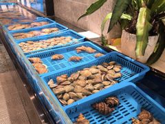 -奕景海鲜酒家· 大连海鲜(星海广场店)