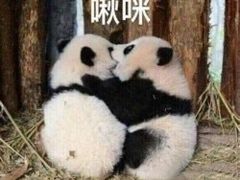-昔木生日蛋糕(汉口店)