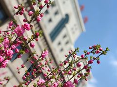 -吉林大学(前卫南区)
