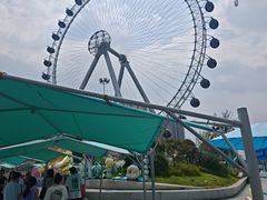 -海合安武汉极地海洋公园
