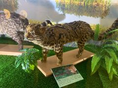 -下渚湖国家湿地公园科普馆