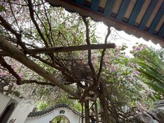 -深圳国际园林花卉博览园