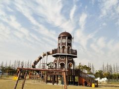 -上海长兴岛郊野公园