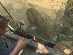 -无锡动物园·太湖欢乐园