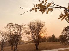 -盘龙城国家考古遗址公园