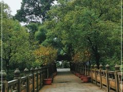 -南山植物园