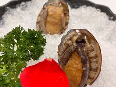 十头鲍鱼-帝皇海海鲜豆捞(桐泾商务广场店)