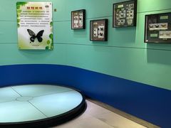 -上海昆虫博物馆