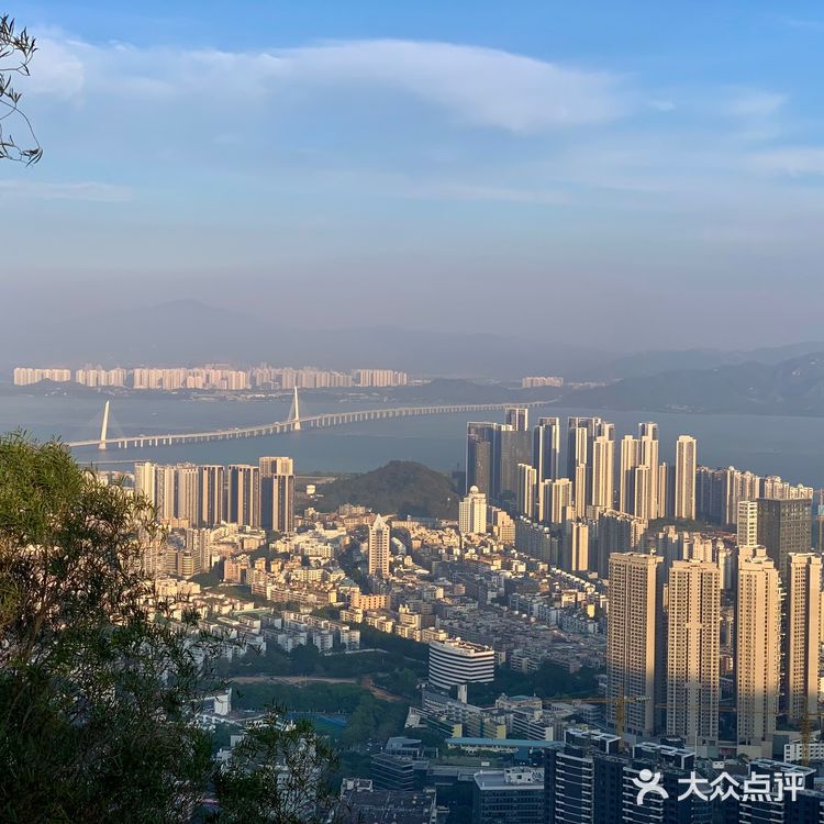深圳南山公园登山攻略📒📒