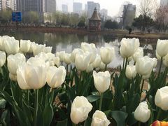 -武汉华夏国际影城(鲁广店)