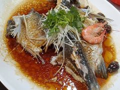 -东鸽皇(奥园·中环广场店)