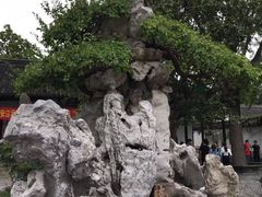 -水绘园