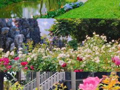-四海公园(南山区)