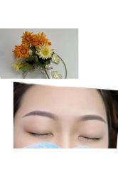 -变美丽半永久纹眉连锁·机器野生眉·洗眉