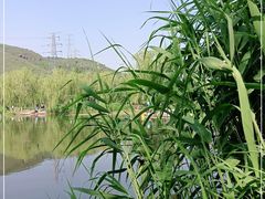 -滨河世纪广场公园