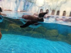 -常州海昌海洋探索馆