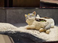 -将太无二·北美传奇寿司(荟聚购物中心西红门店)