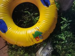 -重庆海昌加勒比海水世界