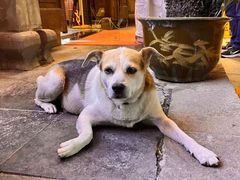 -长兴菜馆(高桥店)