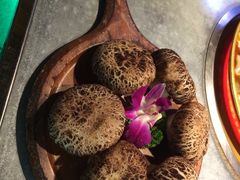 -小牛哈尼章鱼水煎肉(金鹰店)