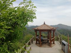 -大岭沟猕猴桃谷风景区