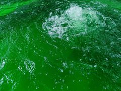 -春晖园度假酒店温泉