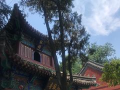 -洛阳白马寺