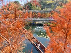 -梅峰山地公园