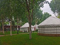 -九十九顶毡房(阜石路店)