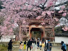-醍醐寺