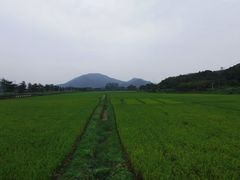 -艾米稻香小镇