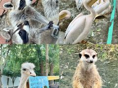 -水上乐园·欢乐世界