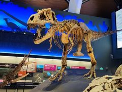 -贝林大翅鲸简餐厅(国家海洋博物馆店)