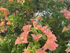 -京津佛罗伦萨小镇