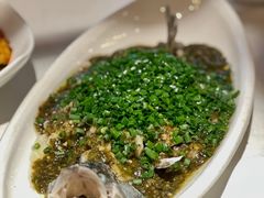 烧椒鲈鱼-尘香•传统川菜(创汇首座店)