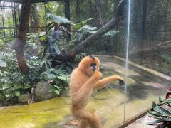 -海南热带野生动植物园