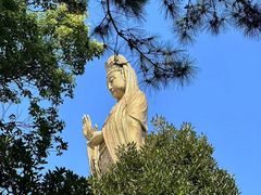 -半升洞码头