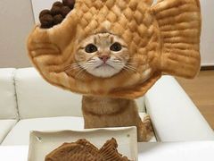 -食武士·舒芙蕾(新街口明瓦廊店)