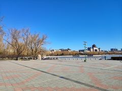 -莲花池公园