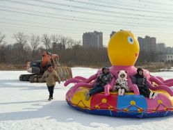 -268童话露营农场·烧烤·团建