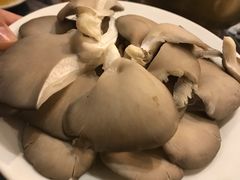 蘑菇-鑫龙火锅城(青岛分店)