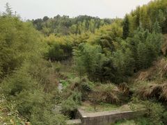 -灵山景区梯田