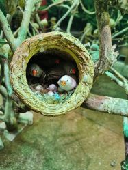 -Zoolung Zoolung动物主题公园(海信广场店)