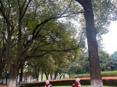 -中央公园(苏州工业园区)