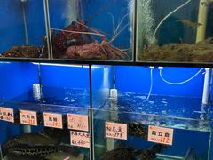 -华峰食馆(氹仔店)